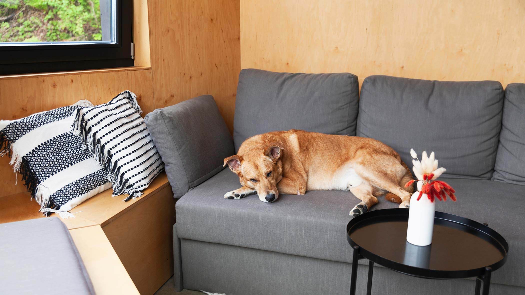 Ferienwohnung pet friendly Ferienwohnung pet friendly