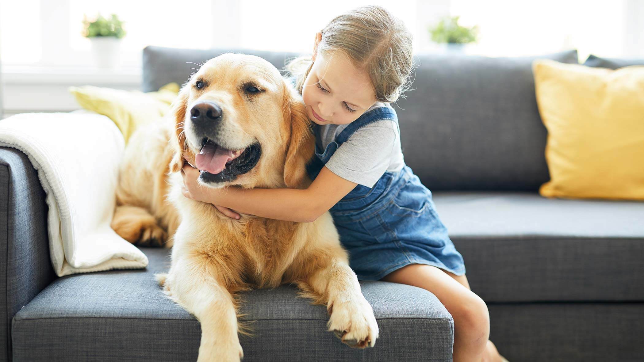hundefreundliche Ferienwohnung - Kind spielt mit Hund hundefreundliche Ferienwohnung - Kind spielt mit Hund
